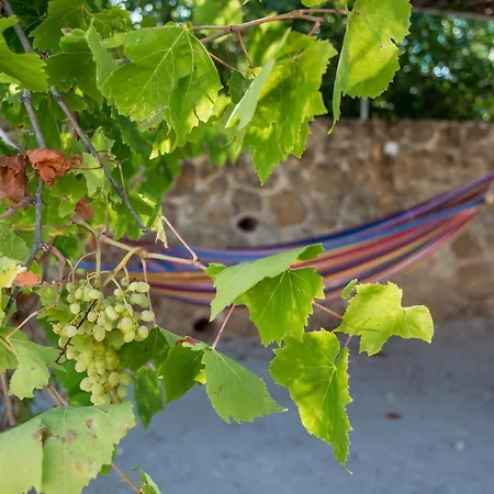 Eleftheria, - Spacious Luxury With Pool And Stunning Views Vilă *