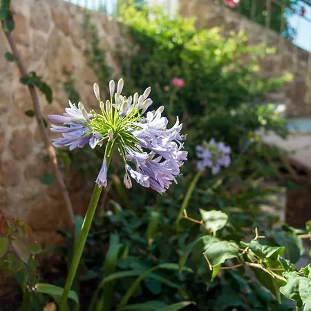 Eleftheria, - Spacious Luxury With Pool And Stunning Views Vilă